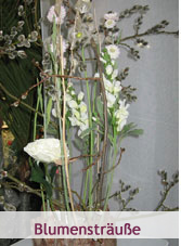 Blumen Start
