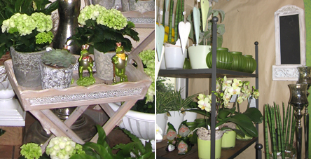 Bild aus Blumenladen